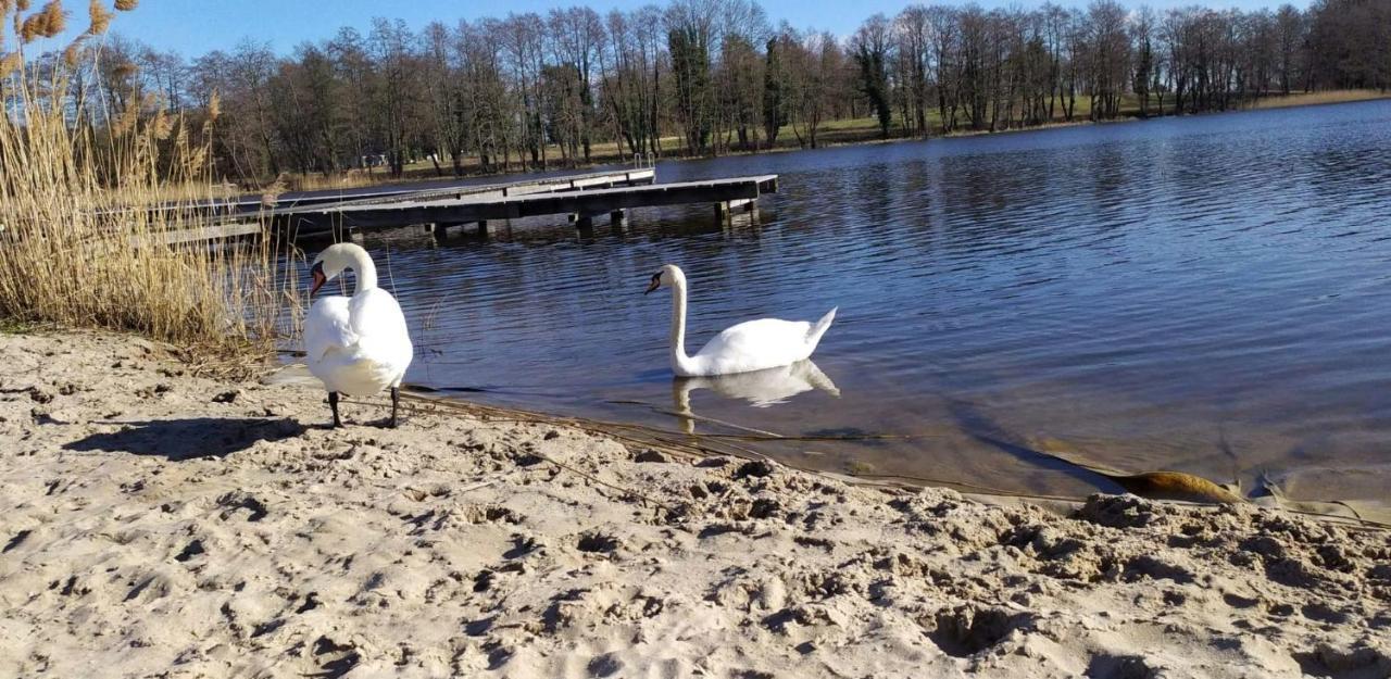 Szary Domek Nad Jeziorem Kołczewo Exterior foto